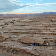 Schlipp & Horny Schlüsselanhänger